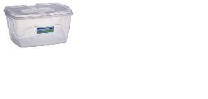 CAIXA ORGANIZADORA 60L PLASMONT TRAN 057