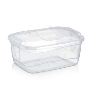 CAIXA ORGANIZ 01,9L RAINHA TRANSP 1126